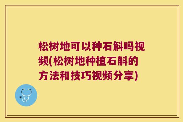 松树地可以种石斛吗视频(松树地种植石斛的方法和技巧视频分享)