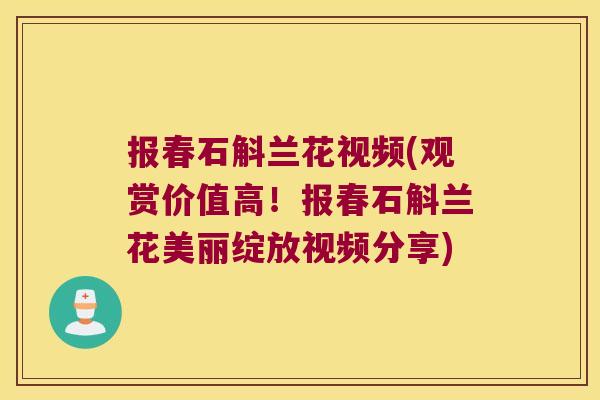 报春石斛兰花视频(观赏价值高！报春石斛兰花美丽绽放视频分享)