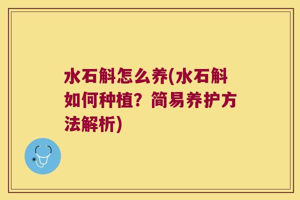 水石斛怎么养(水石斛如何种植？简易养护方法解析)