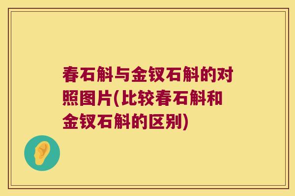 春石斛与金钗石斛的对照图片(比较春石斛和金钗石斛的区别)