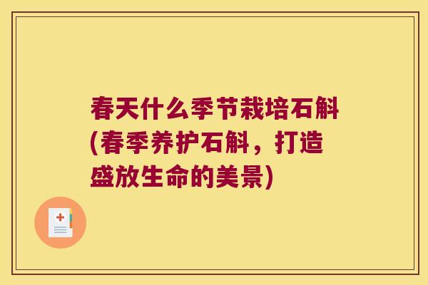 春天什么季节栽培石斛(春季养护石斛，打造盛放生命的美景)