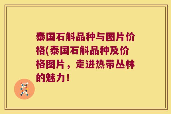 泰国石斛品种与图片价格(泰国石斛品种及价格图片，走进热带丛林的魅力！