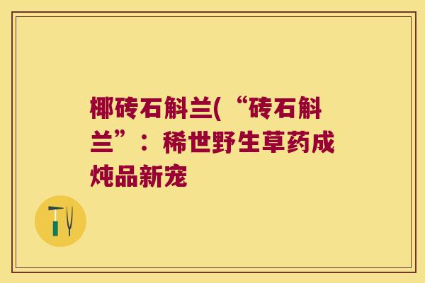 椰砖石斛兰(“砖石斛兰”：稀世野生草药成炖品新宠