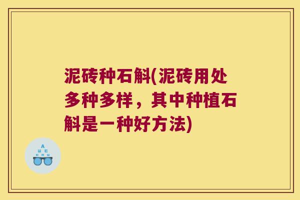泥砖种石斛(泥砖用处多种多样，其中种植石斛是一种好方法)