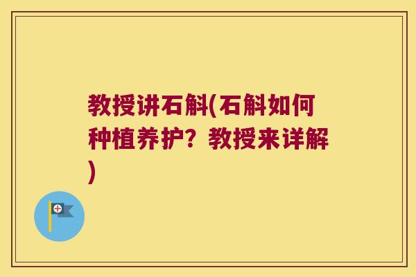 教授讲石斛(石斛如何种植养护？教授来详解)