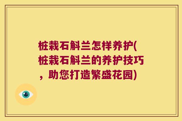 桩栽石斛兰怎样养护(桩栽石斛兰的养护技巧，助您打造繁盛花园)