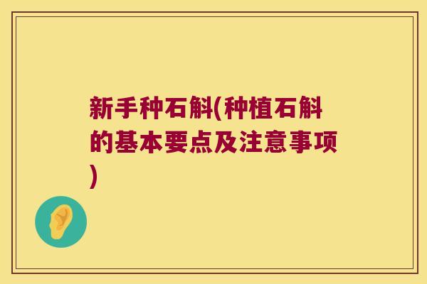 新手种石斛(种植石斛的基本要点及注意事项)