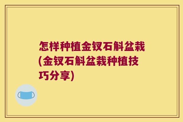 怎样种植金钗石斛盆栽(金钗石斛盆栽种植技巧分享)