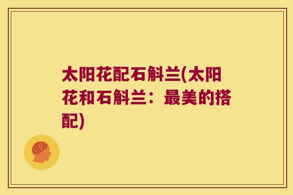 太阳花配石斛兰(太阳花和石斛兰：最美的搭配)