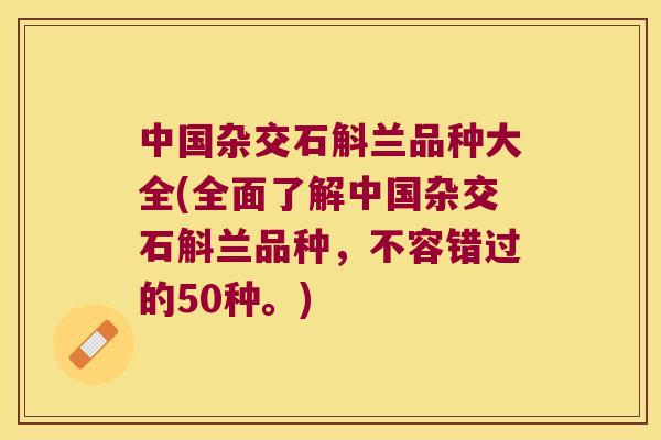 中国杂交石斛兰品种大全(全面了解中国杂交石斛兰品种，不容错过的50种。)