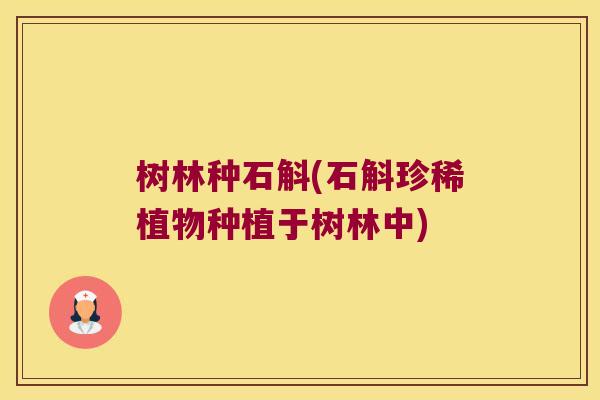 树林种石斛(石斛珍稀植物种植于树林中)