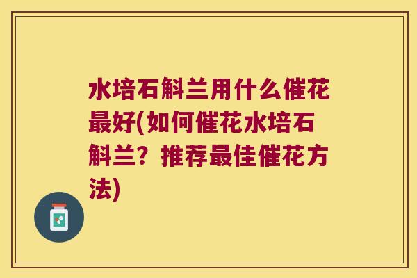 水培石斛兰用什么催花最好(如何催花水培石斛兰？推荐最佳催花方法)