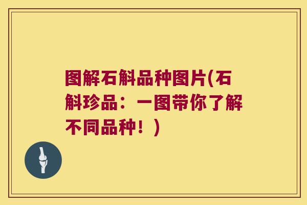 图解石斛品种图片(石斛珍品：一图带你了解不同品种！)