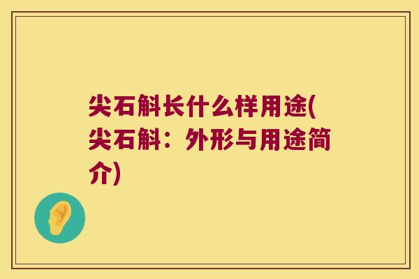 尖石斛长什么样用途(尖石斛：外形与用途简介)