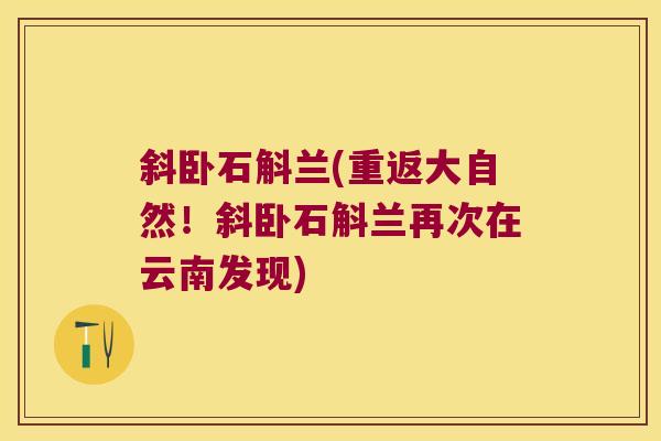 斜卧石斛兰(重返大自然！斜卧石斛兰再次在云南发现)