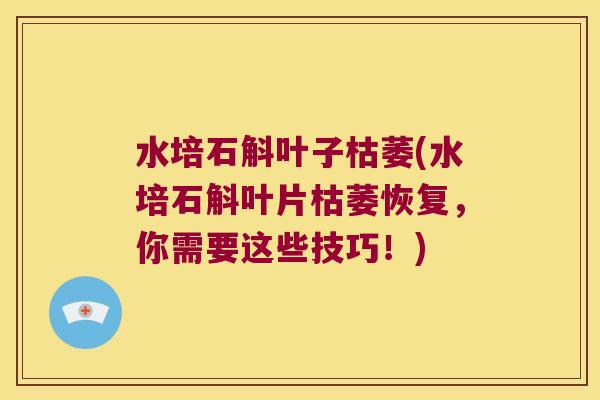 水培石斛叶子枯萎(水培石斛叶片枯萎恢复，你需要这些技巧！)