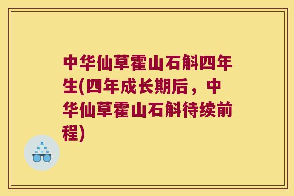 中华仙草霍山石斛四年生(四年成长期后，中华仙草霍山石斛待续前程)