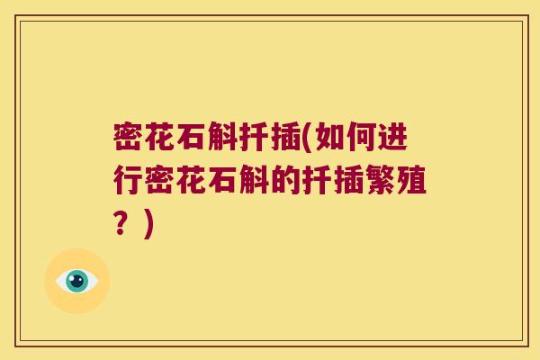 密花石斛扦插(如何进行密花石斛的扦插繁殖？)