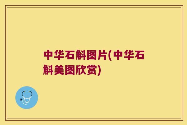中华石斛图片(中华石斛美图欣赏)