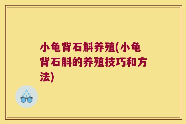 小龟背石斛养殖(小龟背石斛的养殖技巧和方法)