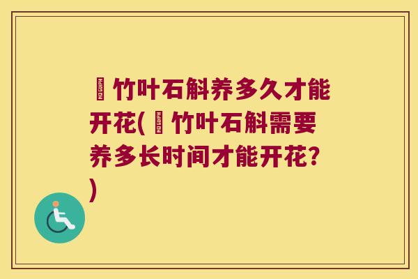 姫竹叶石斛养多久才能开花(姫竹叶石斛需要养多长时间才能开花？)