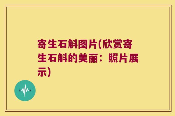 寄生石斛图片(欣赏寄生石斛的美丽：照片展示)