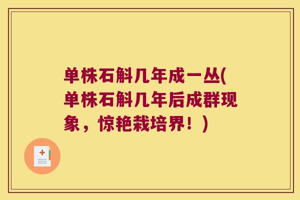 单株石斛几年成一丛(单株石斛几年后成群现象,惊艳栽培界!) 单株石斛几年成一丛(单株石斛几年后成群现象,惊艳栽培界!)