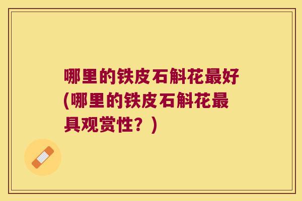 哪里的铁皮石斛花最好(哪里的铁皮石斛花最具观赏性？)