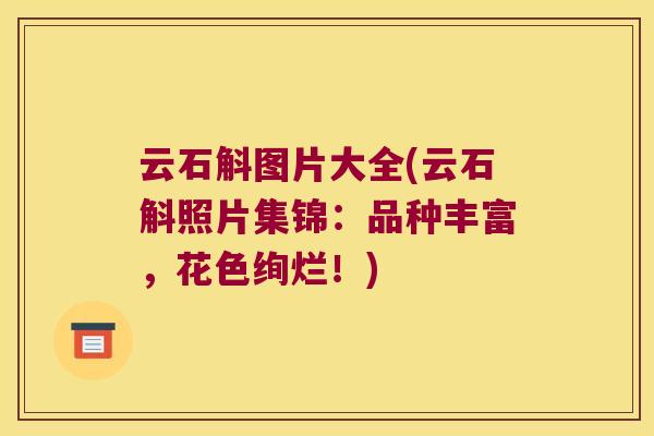 云石斛图片大全(云石斛照片集锦：品种丰富，花色绚烂！)