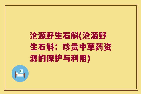 沧源野生石斛(沧源野生石斛：珍贵中草药资源的保护与利用)