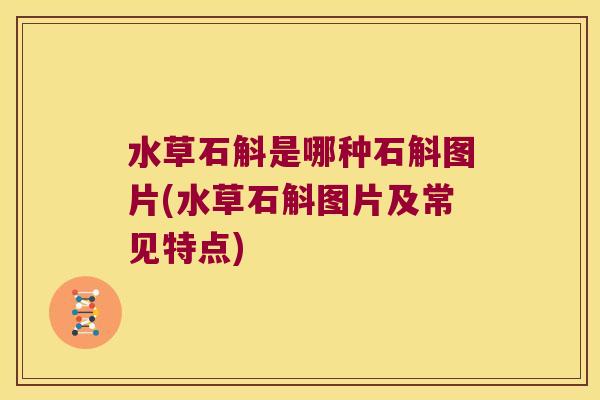 水草石斛是哪种石斛图片(水草石斛图片及常见特点)