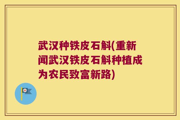 武汉种铁皮石斛(重新闻武汉铁皮石斛种植成为农民致富新路) 武汉种铁皮石斛(重新闻武汉铁皮石斛种植成为农民致富新路)