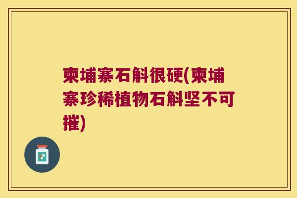 柬埔寨石斛很硬(柬埔寨珍稀植物石斛坚不可摧)
