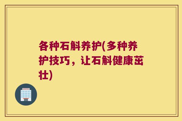 各种石斛养护(多种养护技巧，让石斛健康茁壮)