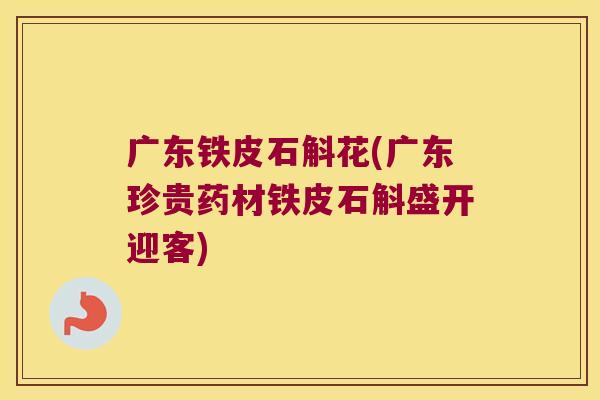广东铁皮石斛花(广东珍贵药材铁皮石斛盛开迎客)