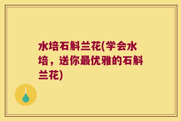 水培石斛兰花(学会水培，送你最优雅的石斛兰花)
