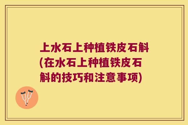 上水石上种植铁皮石斛(在水石上种植铁皮石斛的技巧和注意事项)