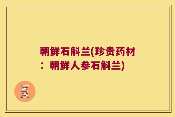 朝鲜石斛兰(珍贵药材：朝鲜人参石斛兰)