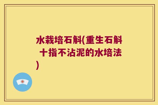 水栽培石斛(重生石斛 十指不沾泥的水培法)