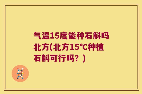 气温15度能种石斛吗北方(北方15℃种植石斛可行吗？)