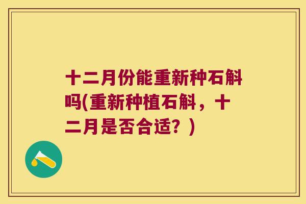 十二月份能重新种石斛吗(重新种植石斛，十二月是否合适？)