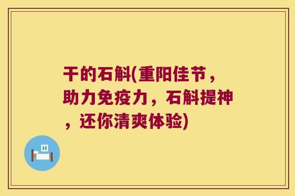 干的石斛(重阳佳节，助力免疫力，石斛提神，还你清爽体验)