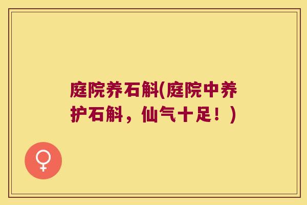 庭院养石斛(庭院中养护石斛，仙气十足！)