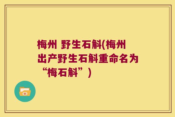梅州 野生石斛(梅州出产野生石斛重命名为“梅石斛”)
