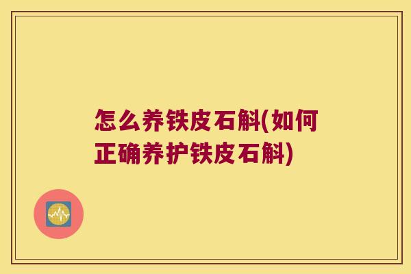 怎么养铁皮石斛(如何正确养护铁皮石斛)