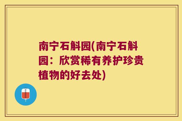 南宁石斛园(南宁石斛园：欣赏稀有养护珍贵植物的好去处)