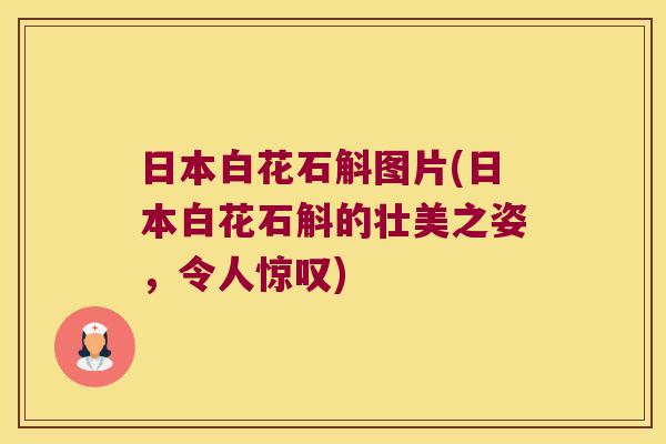 日本白花石斛图片(日本白花石斛的壮美之姿，令人惊叹)