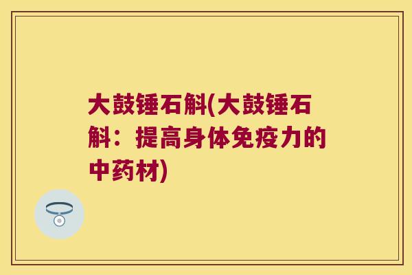 大鼓锤石斛(大鼓锤石斛：提高身体力的材)