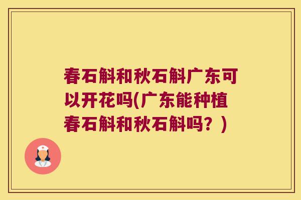 春石斛和秋石斛广东可以开花吗(广东能种植春石斛和秋石斛吗?) 春石斛和秋石斛广东可以开花吗(广东能种植春石斛和秋石斛吗?)
