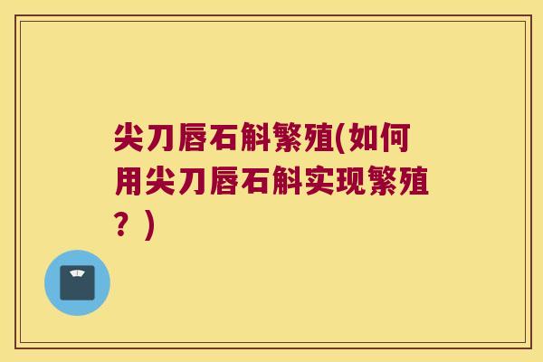 尖刀唇石斛繁殖(如何用尖刀唇石斛实现繁殖？)